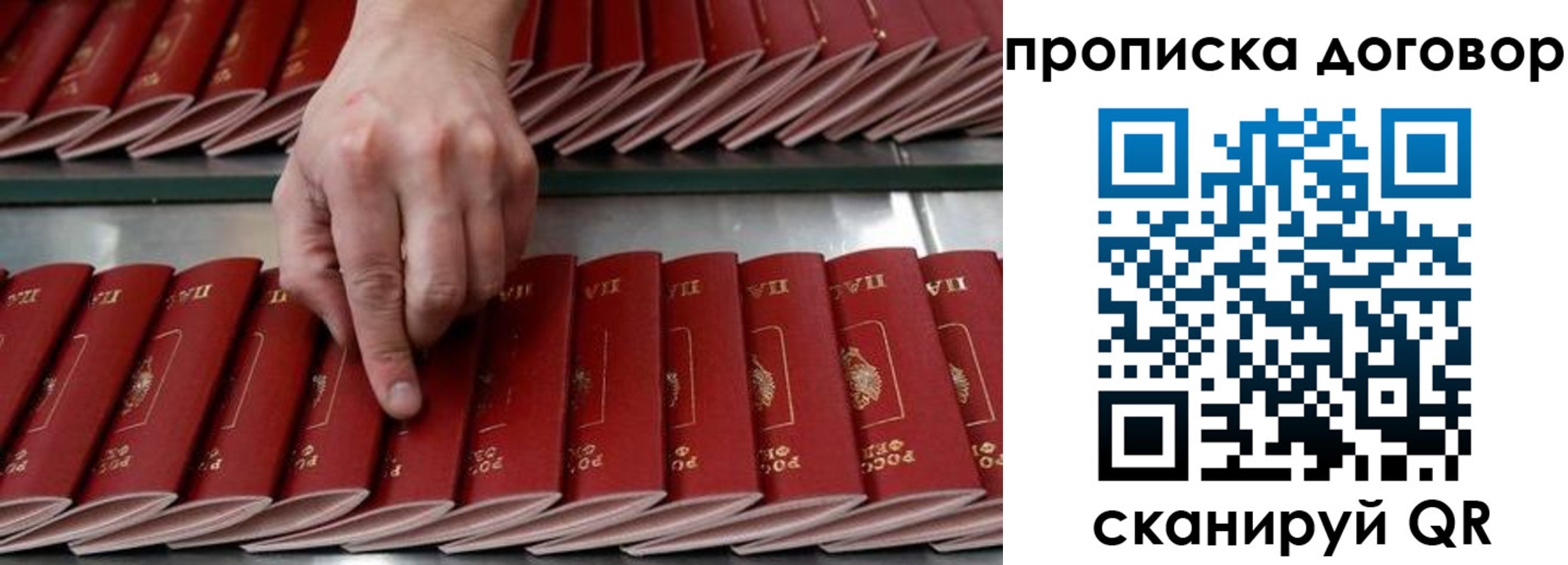 прописка 2025 в Смоленске